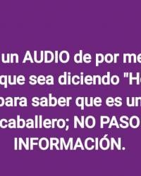 Foto 82 de 84