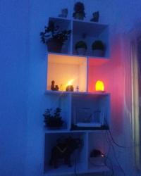 Foto 1 de 46