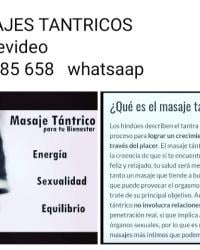 Foto 7 de 15