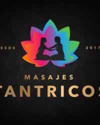 Foto 13 de 15