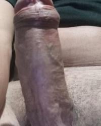 Foto de perfil de Trator